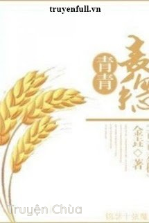Xuyên Việt Chi Thanh Thanh Mạch Tuệ